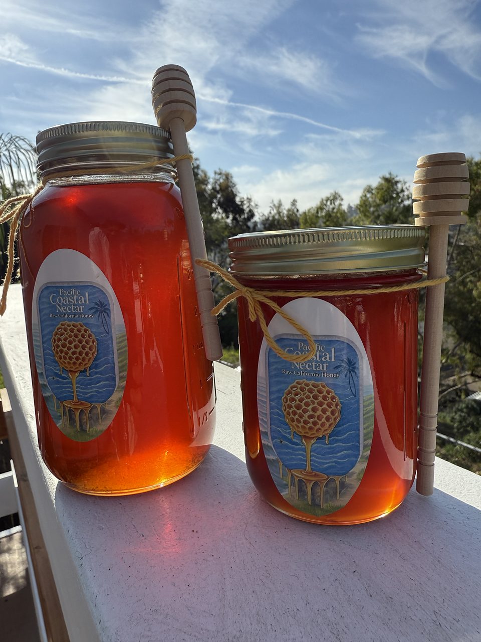 Two Pacific Coastal Nectar raw honey jars with blue honeycomb labels and wooden dippers against a blue sky