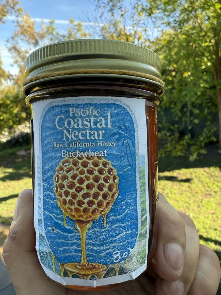 Real Pacific Coastal Nectar Buckwheat 8 oz jar with the blue honeycomb label